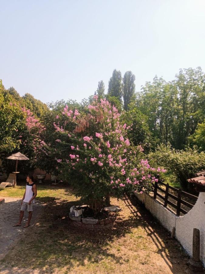 La Dama Con L'Ermellino B&B San Giovanni in Croce Екстер'єр фото