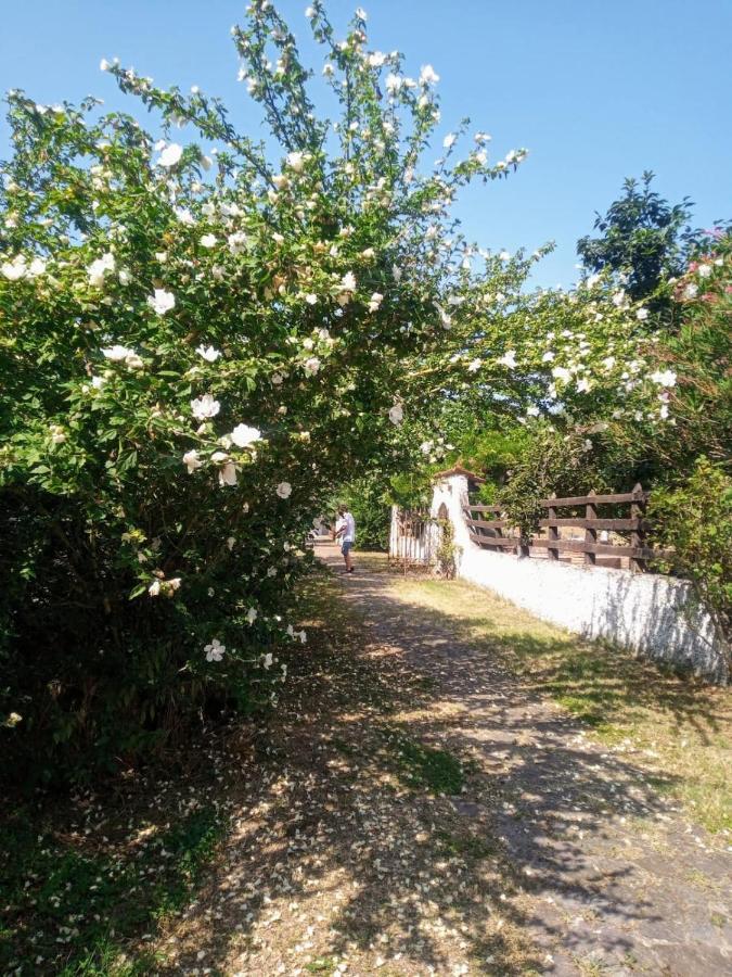 La Dama Con L'Ermellino B&B San Giovanni in Croce Екстер'єр фото